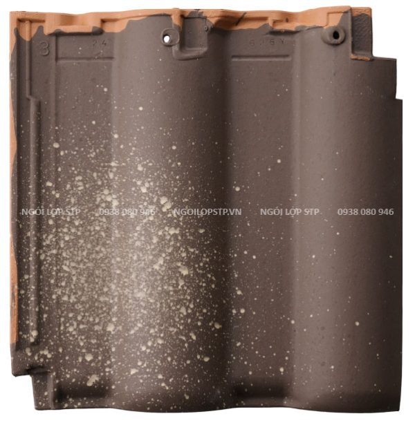 Ngói Nhật Bản Noyasu - Kiểu Sóng cong Cera Mount NII (CM-NII) - Hình ảnh 4
