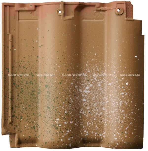 Ngói Nhật Bản Noyasu - Kiểu Sóng cong Cera Mount NII (CM-NII) - Hình ảnh 7