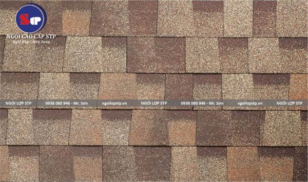 Ngói bitum STP  - Kiểu Xếp lớp - Dòng Cao cấp - Hình ảnh 2