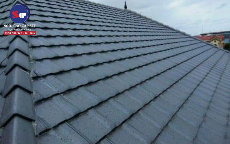 Đặc Điểm Nổi Bật Của Ngói Marusugi Eagle Exa