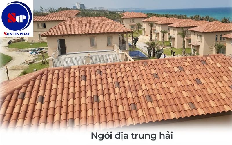 Ngói địa trung hải