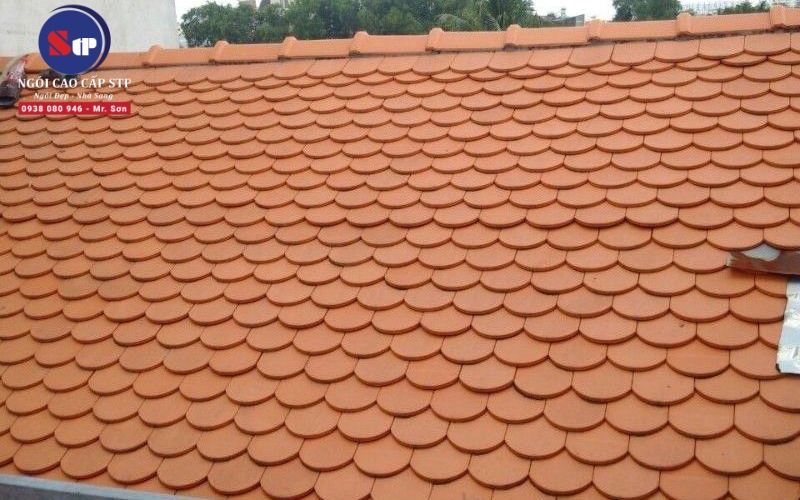 Ngói vảy cá