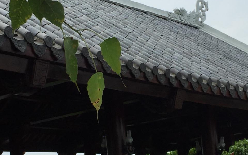 Kiểm tra, vệ sinh và hoàn thiện mái