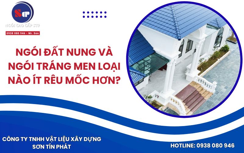 Ngói Đất Nung Và Ngói Tráng Men Loại Nào Ít Rêu Mốc Hơn